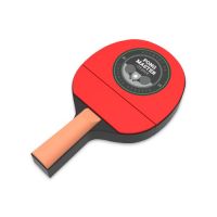 Ping Pong Paddle USB Flash Drive