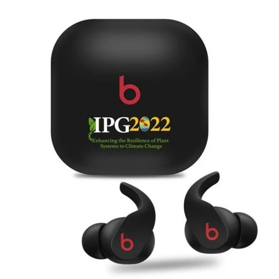 Custom Beats Fit Pro 124331