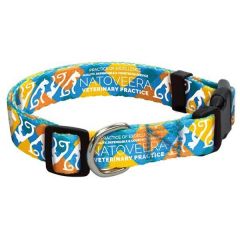 3/4 Polyester 4 Color Pet Collar