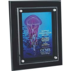 Floating Glass Plaque - 8x10