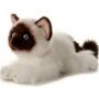 12 Inch Bella Siamese Cat