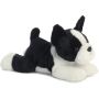 12 Inch Boston Terrier