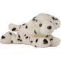 12 Inch Dalmatian