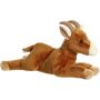 12 Inch Goat