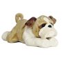 12 Inch Wills Bulldog