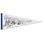 12 Inch X 30 Inch Color-Me Pennant With 1 Inch Sewn Strip