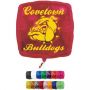 22 Inch Square Foil Balloon