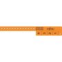 4 Tab Wristband