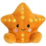 5 Inch Starfish