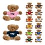 6 Inch Teddy Bear