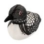 7 Inch Common Loon