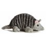 8 Inch Armadillo