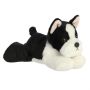 8 Inch Boston Terrier