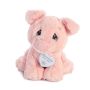 9 Inch Bacon Piggy