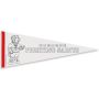 9 Inch X 24 Inch Color-Me Pennant With 1 Inch Sewn Strip