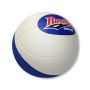 Basketball 3 Exp-Pee Wee- Color Top