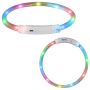 Bright Light Up Dog Collar, Rechargeable