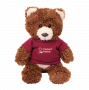 Chelsea Plush Teddy Bear - Baxter