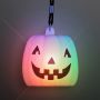 Color Change Deco Pumpkin Light Necklace