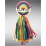 Economy Pride Rainbow Pom Pom