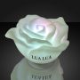 Floating Deco Roses With Color Change Leds