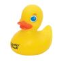 Large Duck