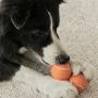 Pet Fetch Toy Tennis Ball