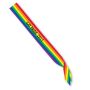 Rainbow Striped Satin Sash With Custom Direct Screen Print