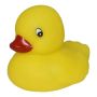 Rubber Cutie Duck