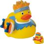 Rubber Skateboard Duck