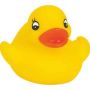 Son Toy Duck