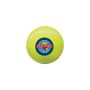 Tennis Ball Dog Toy
