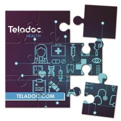 10 Inch X 10 Inch Magnetic Puzzle