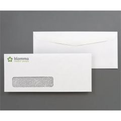 10 Window Envelope