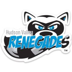 12-18 Sq In White Custom Shaped Ultra Decal