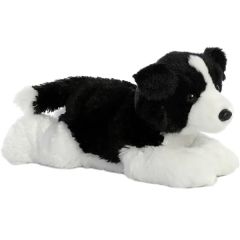 12 Inch Border Collie