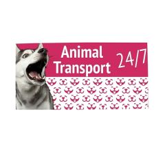 12 Inch X 24 Inch Magnet Promo Sign