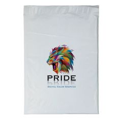12W X 15 1/2h Plastic Mailer - Dynamic Color