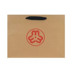13 X 5x 10 Inch 180 GSM Kraft Shopping Bag