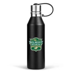 17 Oztravel Stainless Insulated Thermos Bottle W/ Lid&handle