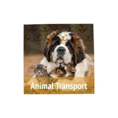 18 Inch X 18 Inch Magnet Promo Sign