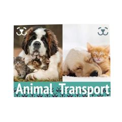 18 Inch X 24 Inch Magnet Promo Sign