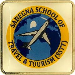 1 1/4 Inch W X 1 1/4 Inch H Rounded Square Digistock Lapel Pins