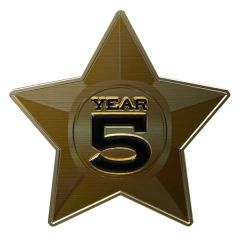 1 1/4 Inch Express Bright Star Lapel PIN