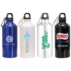 20 Oz Aluminum Water Bottle W/ Carabiner