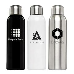 26 Oz Stainless Steel Bottle With Cap