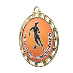 2 1/2 Inch Express Vibraprint Round Insert Medal