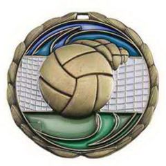 2 1/2 Inch Volleyball Color Epoxy Medal