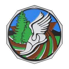 2 Inch Cross Country Decagon Colored Medal