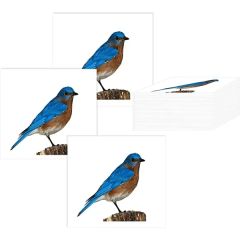 2 Inch X 2 Inch Custom Temporary Tattoos